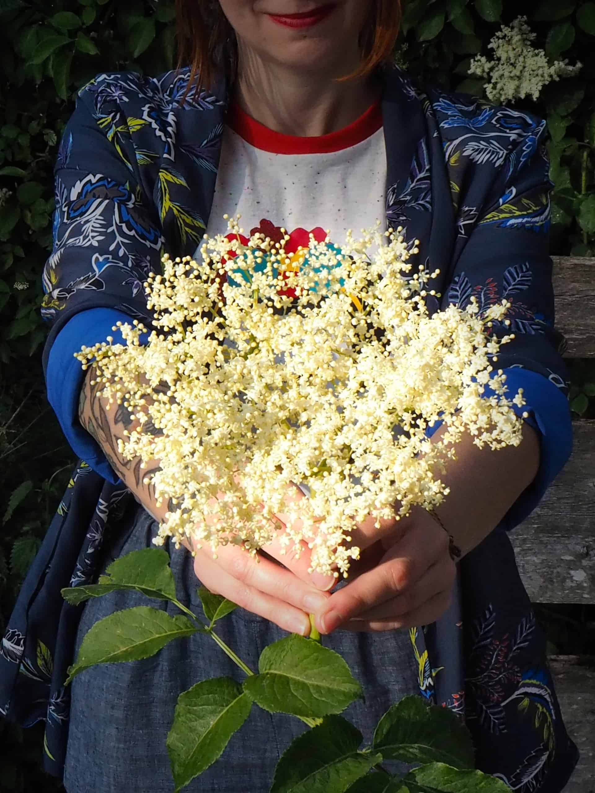 Holunderblütensirup selber machen