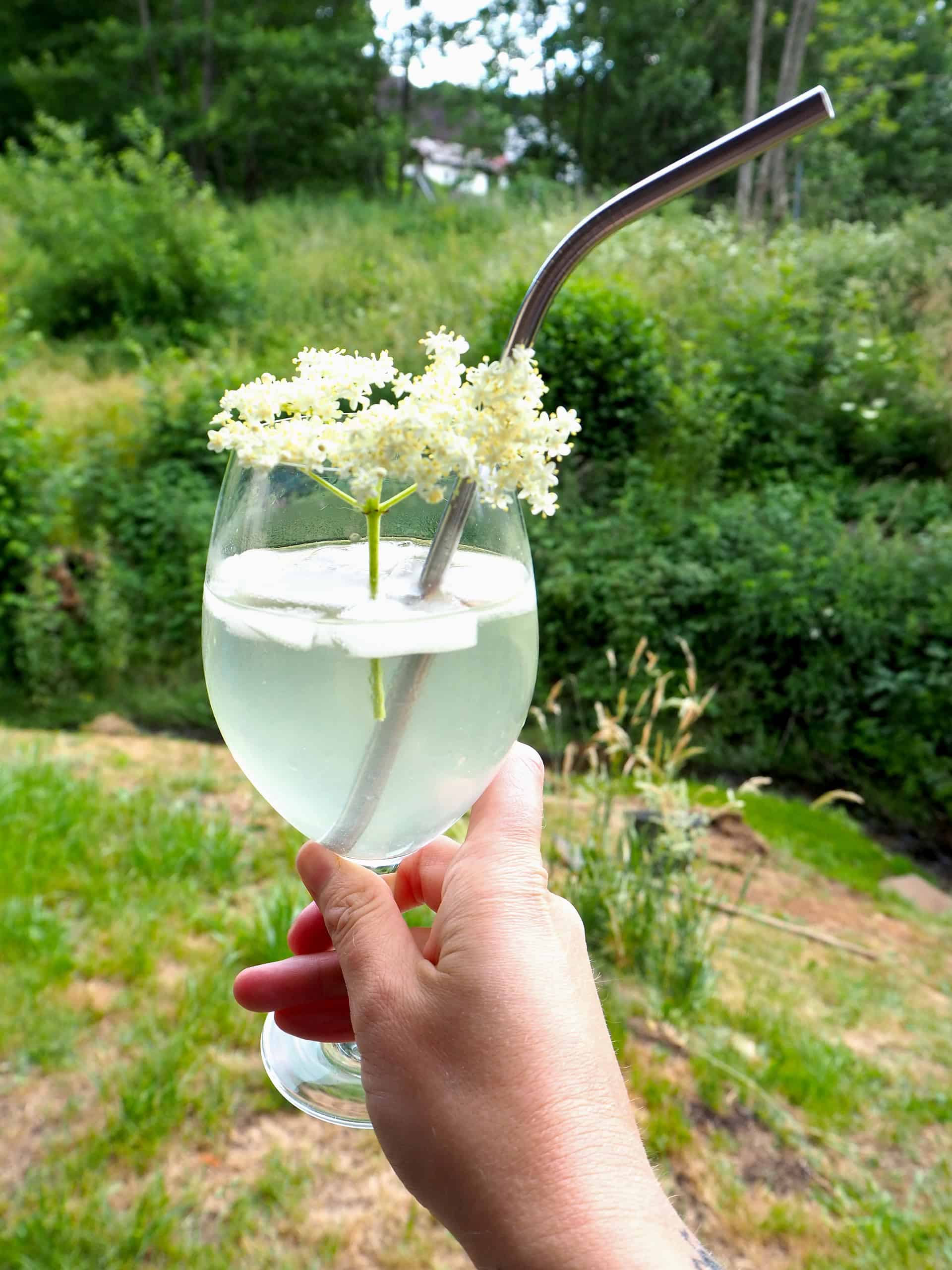 Holunderblütensirup selber machen