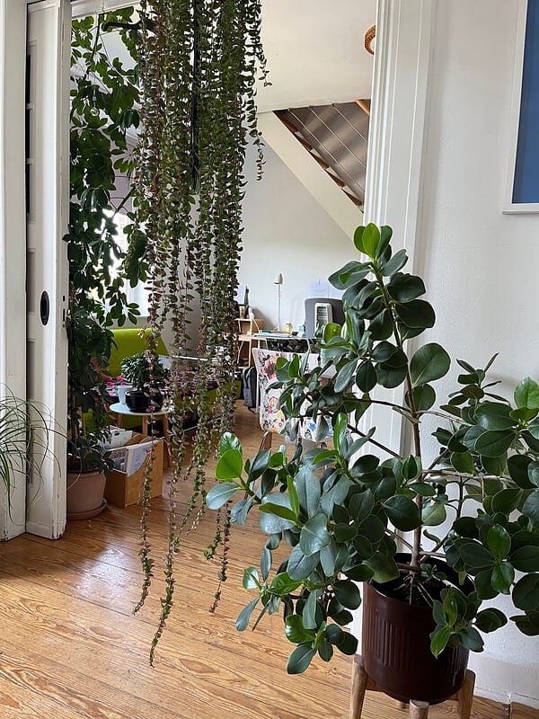 Die Kunst der Wohnraumgestaltung mit Farben: Dein persönlicher Guide