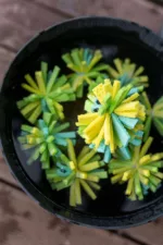 Wasserbomben aus Schwammtüchern basteln – sommerliches DIY für Kinder