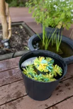 Wasserbomben aus Schwammtüchern basteln – sommerliches DIY für Kinder