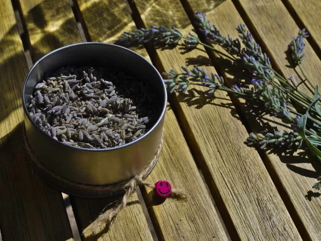 Lavendelessig selber machen