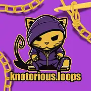 Knotorious Loops Logo mit Katze in Kapuzenjacke, umgeben von goldenen Ketten, kreative Schmuckdesigns, handgemacht, einzigartig, Schmuckkunst, Modeaccessoires, handgefertigt.
