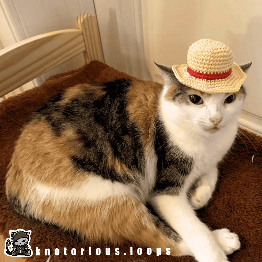 Amigurumi Strohhut – NO-SEW