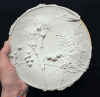 Spuren der Natur – Botanische Gipsabdrücke Workshop in Hamburg Altona