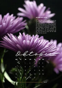 Die ASTER und das Leuchten zum Schluss