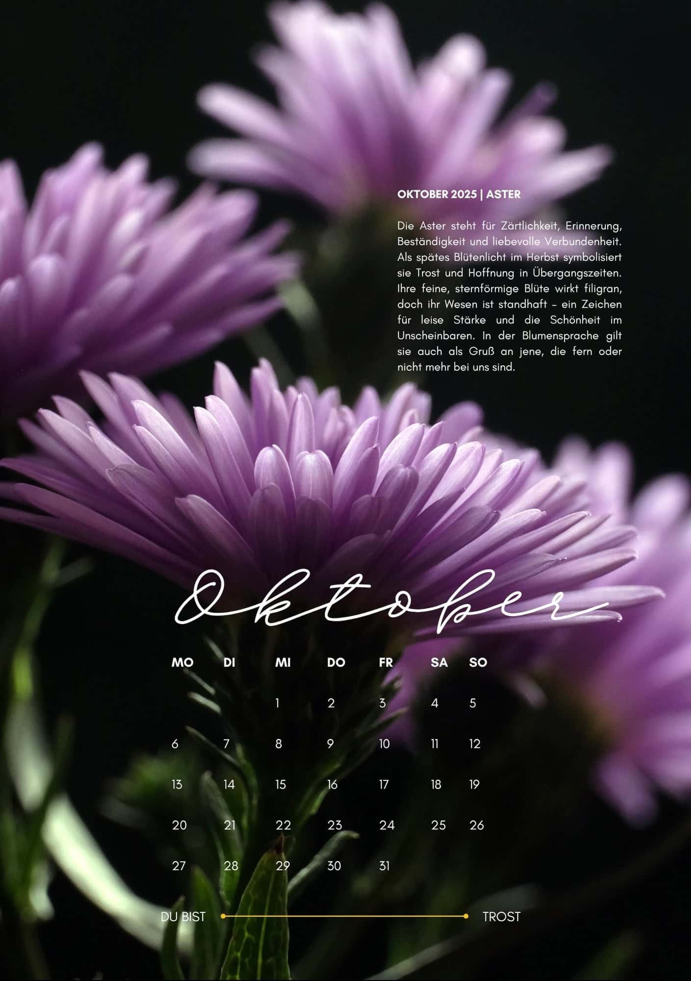 Die ASTER und das Leuchten zum Schluss