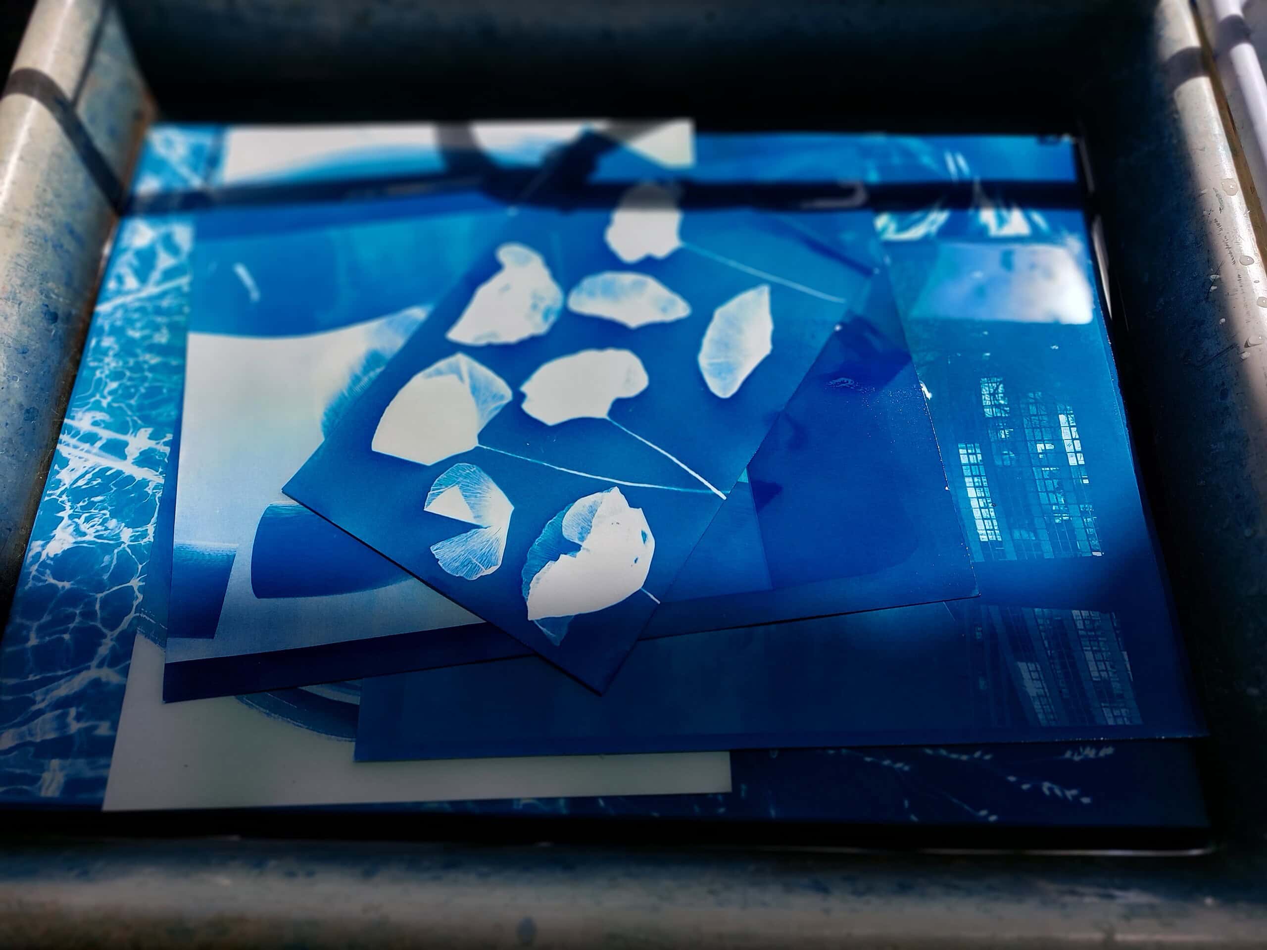 Cyanotypie (Blaudruck) Fotokurs – ein Workshop für Einsteiger*innen in Hamburg Bahrenfeld