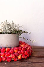 Moderne Herbstdeko für den Hauseingang mit Zieräpfeln – einfach & natürlich selbst gemacht
