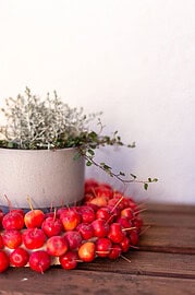 Moderne Herbstdeko für den Hauseingang mit Zieräpfeln – einfach & natürlich selbst gemacht