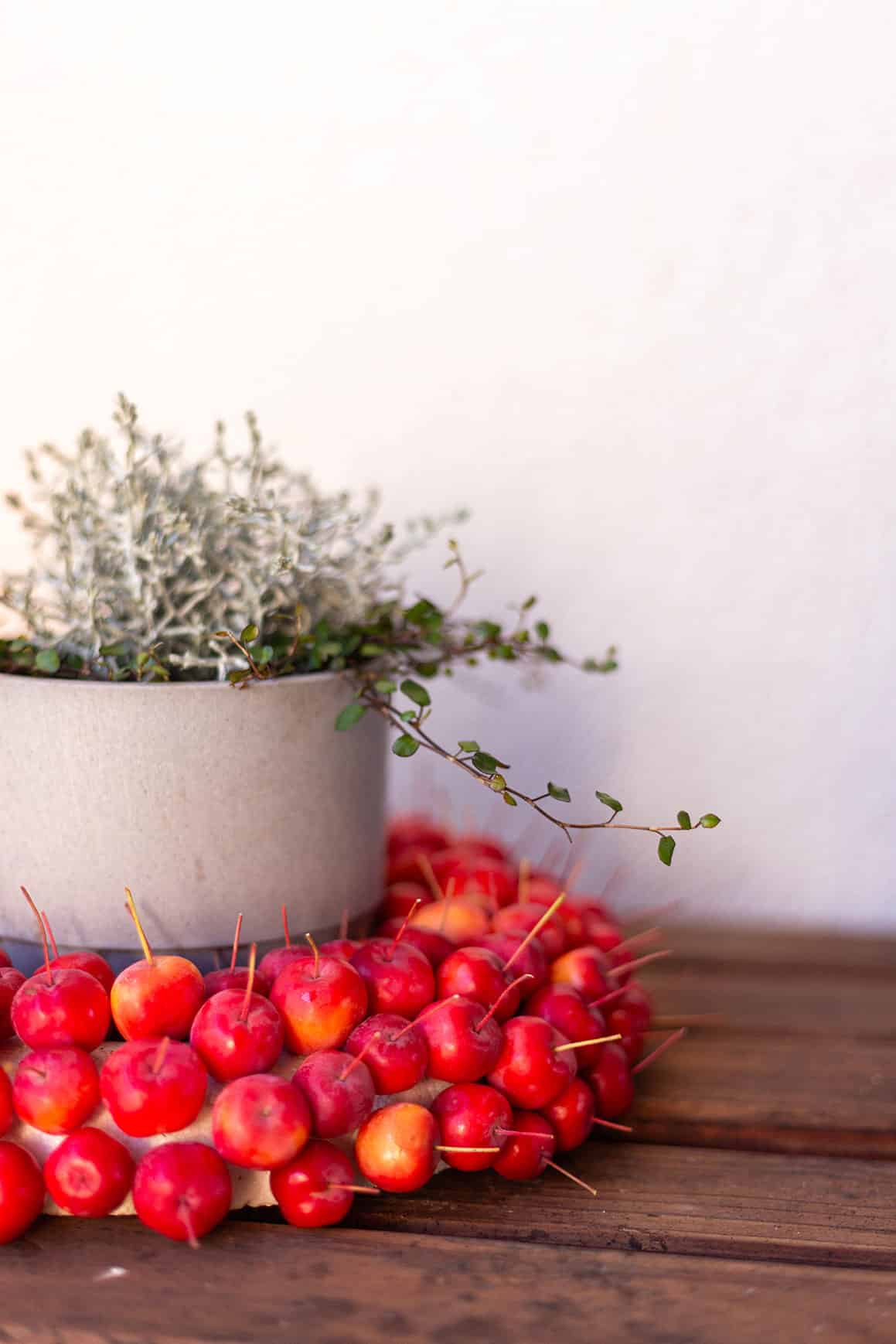 Moderne Herbstdeko für den Hauseingang mit Zieräpfeln – einfach & natürlich selbst gemacht