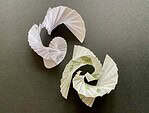 Workshop Spiralfaltungen in Papier