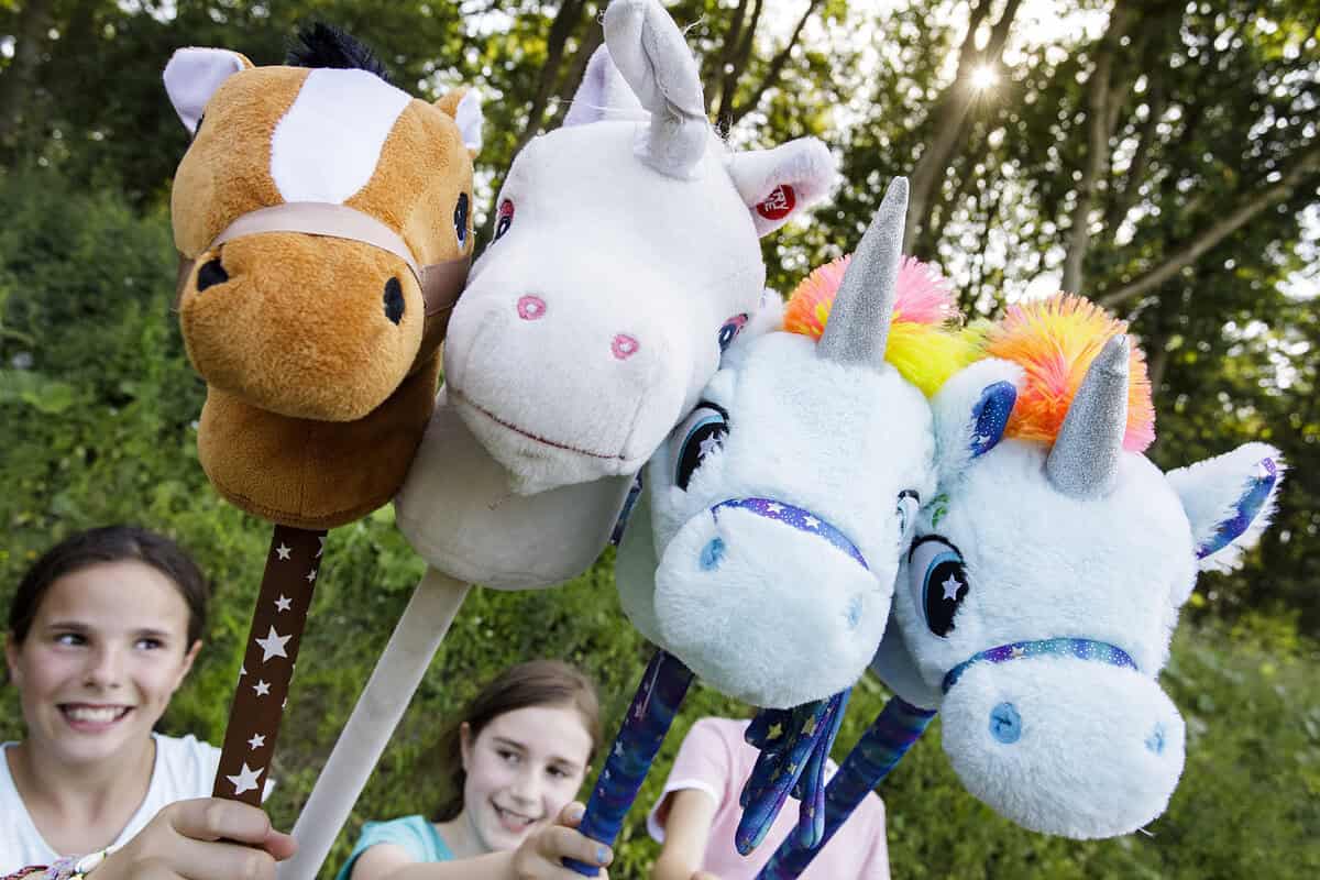 „Pferien“ mit dem Hobby Horse – Steckenpferdesport für Anfänger&Fortgeschrittene“ / 7-Tage-Ferienprogramm 2026