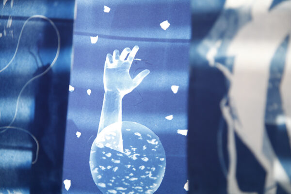 Cyanotypie (Blaudruck) Fotokurs - ein Workshop für Einsteiger*innen