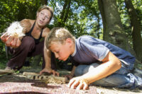 Wildniswissen-Wochenende - Survival mit den WaldläuferInnen? Aber natürlich! / Familien-Programm 2026