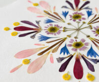Blumenkunst Workshop - Pressed Flower Art