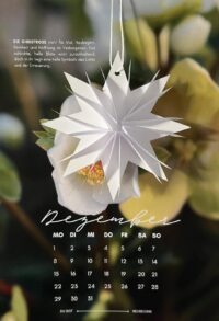 3D-Papierstern: Schneiden, falten, zusammenstecken
