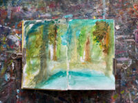 WILD PAGES. Malworkshop