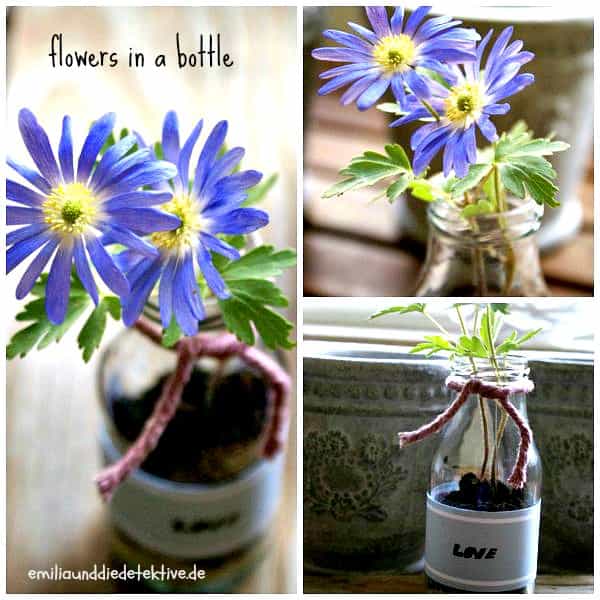 Emilia und die Detektive – Lifestyle Blog – Workshop – Events