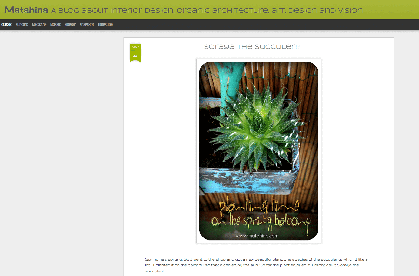Matahina – a blog about interior design, organic architecture, art, design and vision