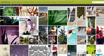 Matahina – a blog about interior design, organic architecture, art, design and vision